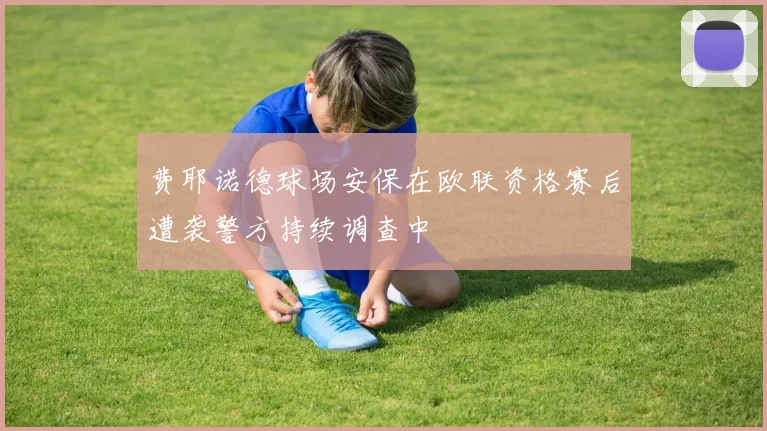 费耶诺德球场安保在欧联资格赛后遭袭警方持续调查中