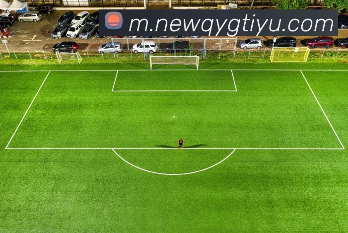 奇异果体育平台生态图